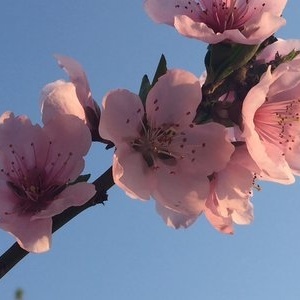 灃河老鐵野釣營(yíng) 探秘自然與垂釣的和諧樂章