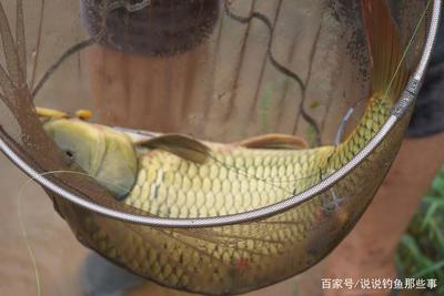行者野釣營(yíng)潘家口水庫活動(dòng)紀(jì)實(shí) 山水之間，尋一份野趣與寧靜